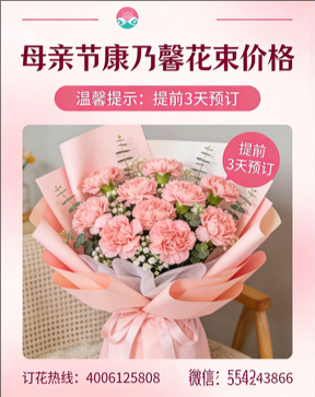 宜宾珙县花店母亲节康乃馨花束