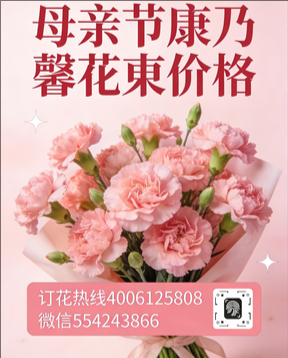 宜宾珙县花店母亲节康乃馨花束